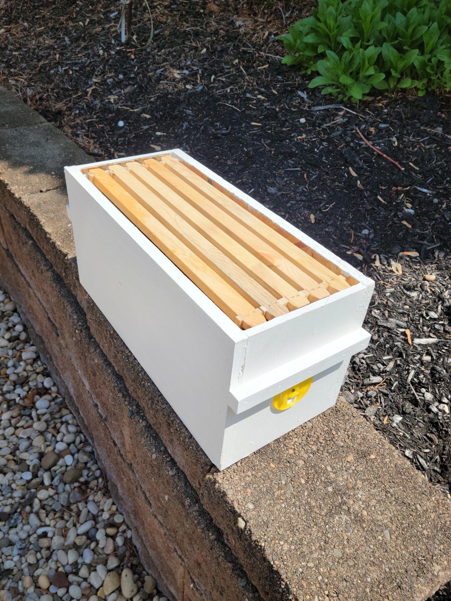 Hive box and frames